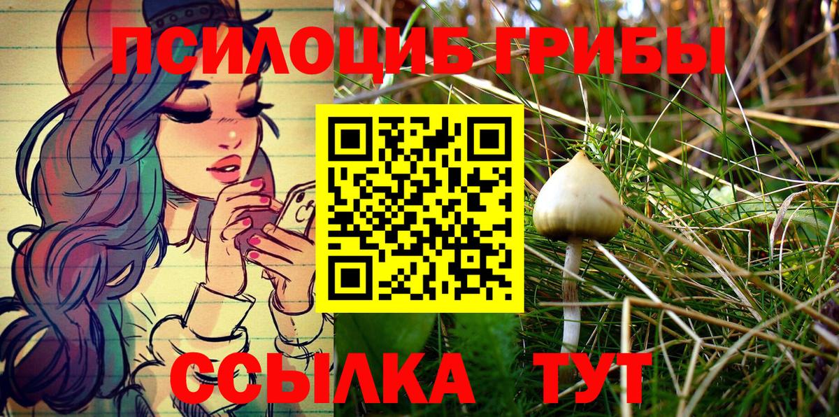 Камышлов  Галлюциногенные грибы MAGIC MUSHROOMS  Вход с VPN  Псилоцибиновые грибы MAGIC MUSHROOMS 
