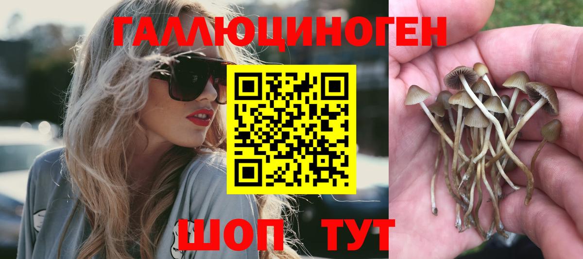 Галлюциногенные грибы мицелий Камышлов