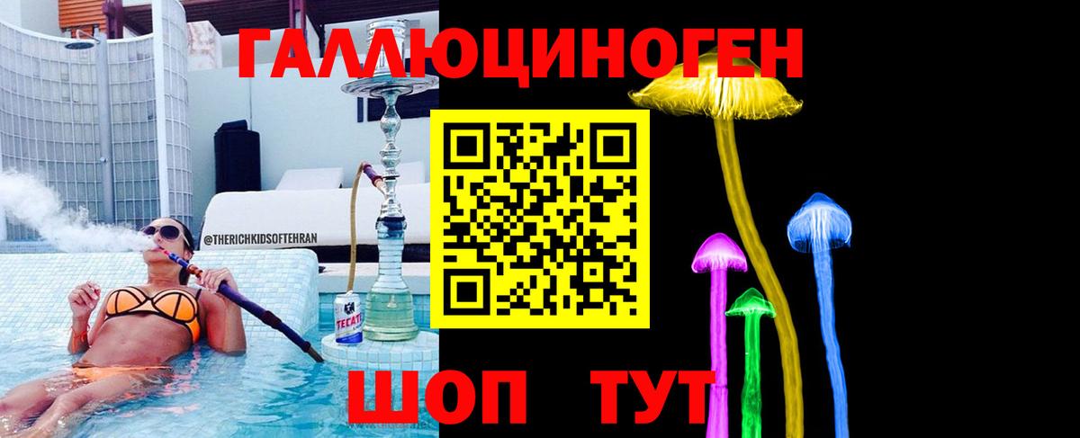 ЭКСТАЗИ Камышлов