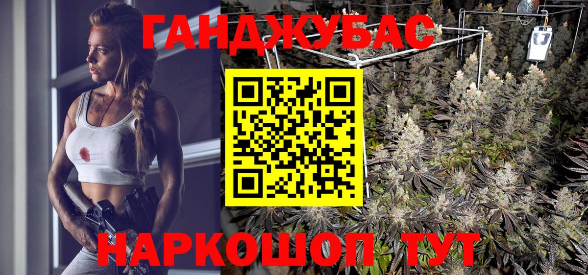 Каннабис ГИДРОПОН  Каннабис сатива  Конопля Bruce Banner  Вход с VPN  Камышлов  Канабис ГИДРОПОН 